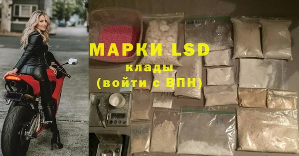 гидра Алзамай